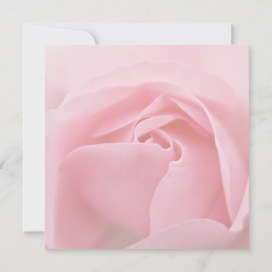 Rosa Rose Ankündigung Datum freihalten (Rückseite)