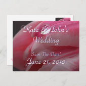 Rosa Rose Ankündigungspostkarte (Vorne/Hinten)