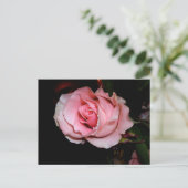 Rosa Rose Ankündigungspostkarte (Stehend Vorderseite)