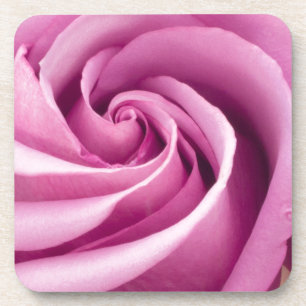 Rosa Rose auf perfekte Untersetzer geklappt