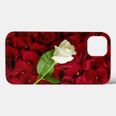 Rosa Rose auf roten Petalen Case-Mate iPhone Hülle (Rückseite (Horizontal))