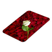 Rosa Rose auf roten Petalen Magnet (Linke Seite)
