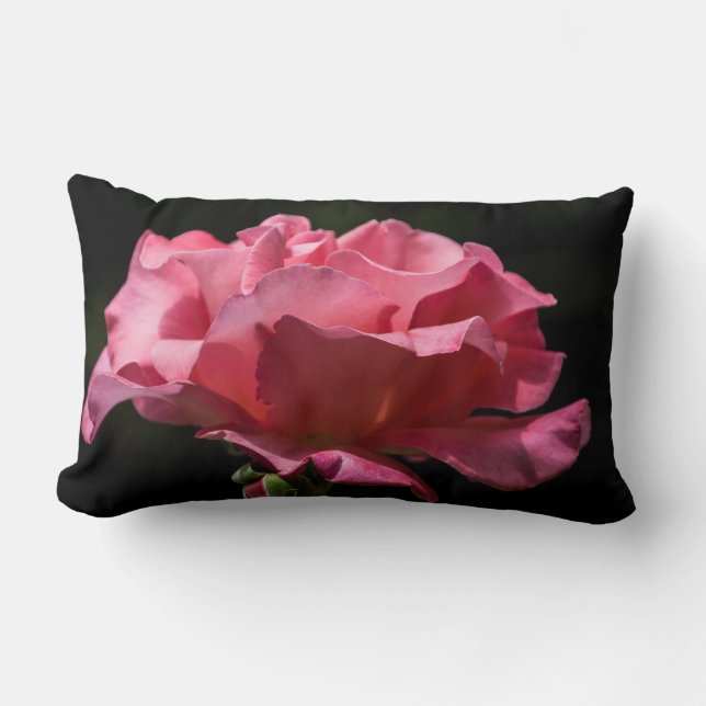 Rosa Rose auf schwarzem Throw-Kissen Lendenkissen (Vorderseite)