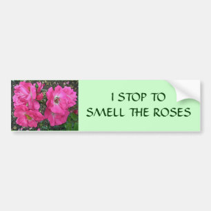Rosa Rose Autoaufkleber