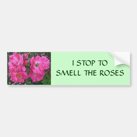 Rosa Rose Autoaufkleber (Vorne)