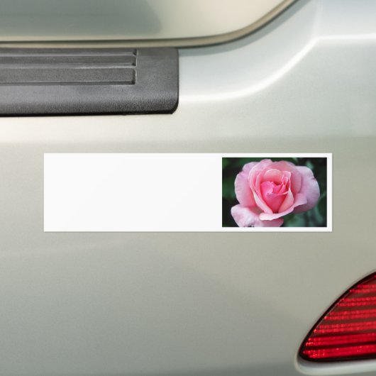 Rosa Rose Autoaufkleber (Auf Auto)