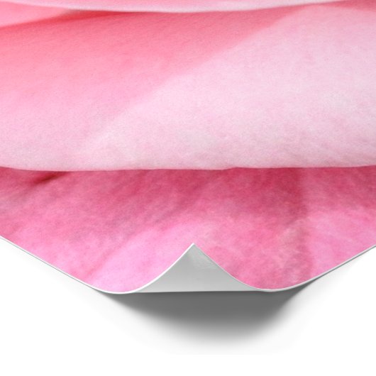 Rosa Rose Blossom Print Beauty einer Rose Poster (Ecke)