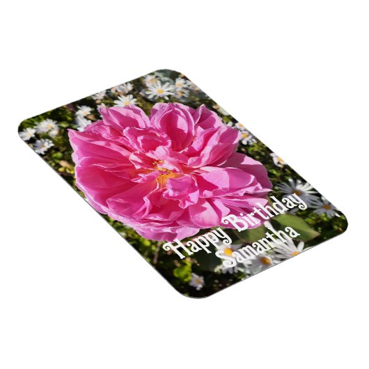 Rosa Rose Blume Blume Blumengeburt Magnet (Rechte Seite)