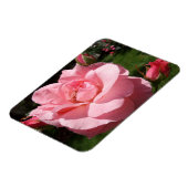 Rosa Rose & Blume Buds 3"x4" Magnet (Linke Seite)