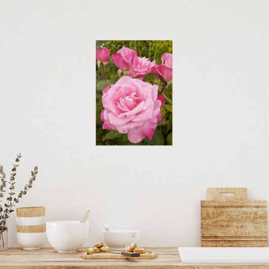Rosa Rose Blumengarten Plakat (Küche)