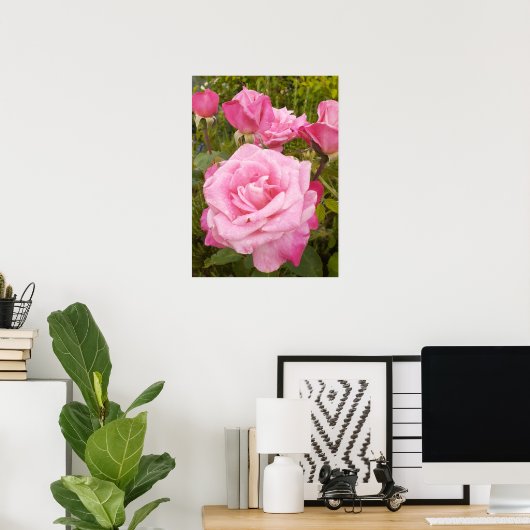 Rosa Rose Blumengarten Plakat (Heimbüro)