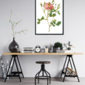 Rosa Rose Botanische Kunst drucken Poster