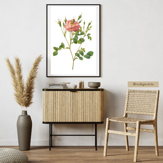 Rosa Rose Botanische Kunst drucken Poster