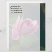 Rosa Rose Briefkopf (Vorne/Hinten)