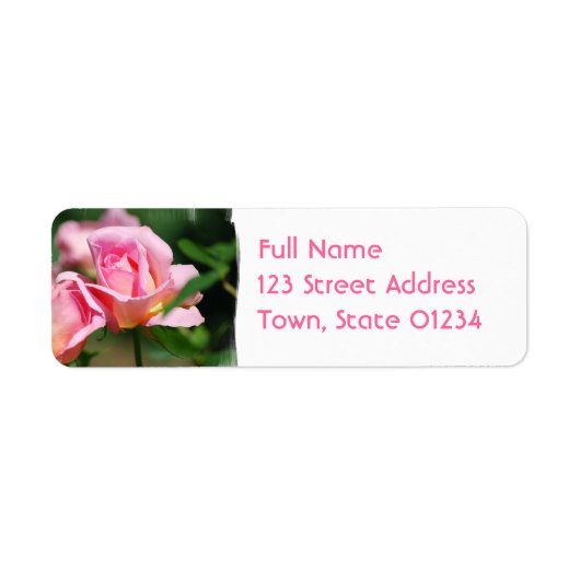 Rosa Rose Bud Mailing Labels (Vorne)