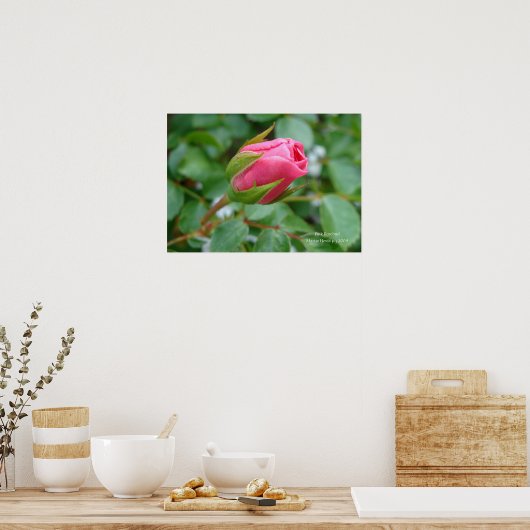 Rosa Rose Bug Print - Wählen Sie Ihre Rahmen Poster (Küche)