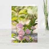 Rosa Rose Bush und Grünfolien Karte (Vorderseite)