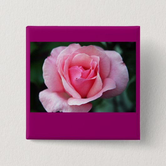 Rosa Rose Button (Vorderseite)