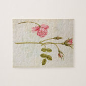 Rosa Rose, c.1568 Puzzle (Horizontal)