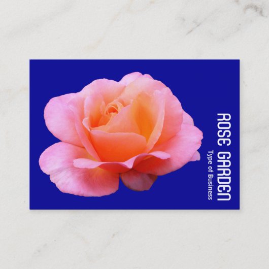 Rosa Rose (Deep Blue) Visitenkarte (Vorderseite)