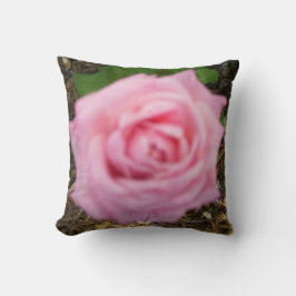 Rosa Rose dekoratives Kissen