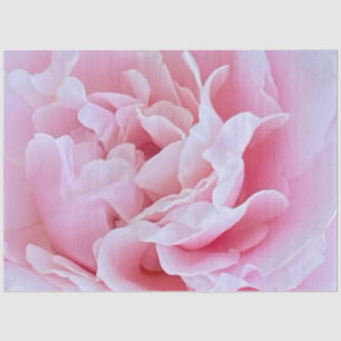 Rosa Rose Dekoupage Tissue Paper Seidenpapier