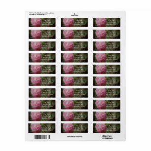 Rosa Rose Elegantes Rücksendeadresse-Label