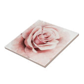 Rosa Rose Fliese (Seite)