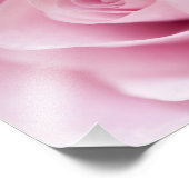 Rosa Rose Fotodruck (Ecke)