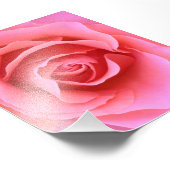 Rosa Rose Fotodruck (Ecke)