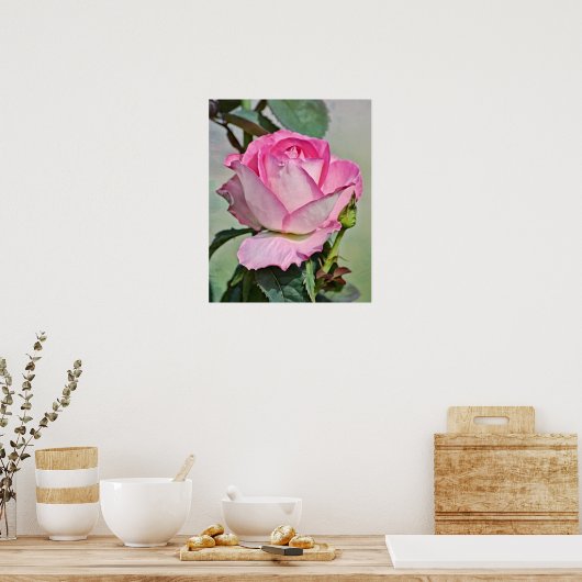 Rosa-Rose-Fotografien drucken Poster (Küche)