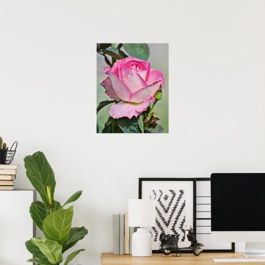 Rosa-Rose-Fotografien drucken Poster (Heimbüro)