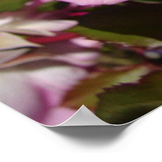 Rosa Rose Frühlingsblumengarten Poster (Ecke)