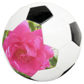 Rosa Rose Fußball (Dreiviertel)