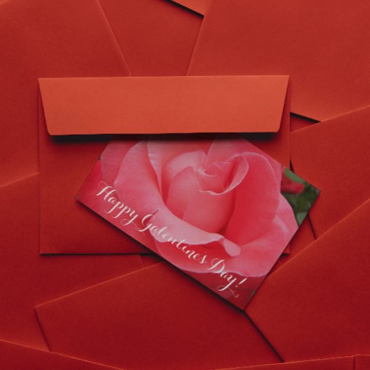 Rosa-Rose-Galentinstag Feiertagskarte