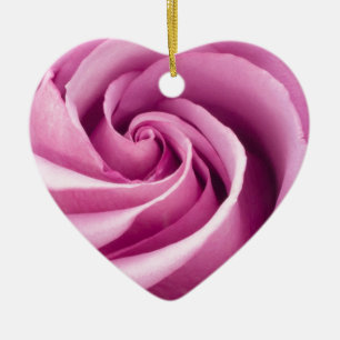 Rosa Rose geklappt bis Perfektion Ornament