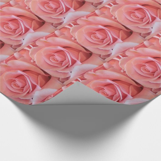 Rosa Rose Geschenkpapier (Ecke)