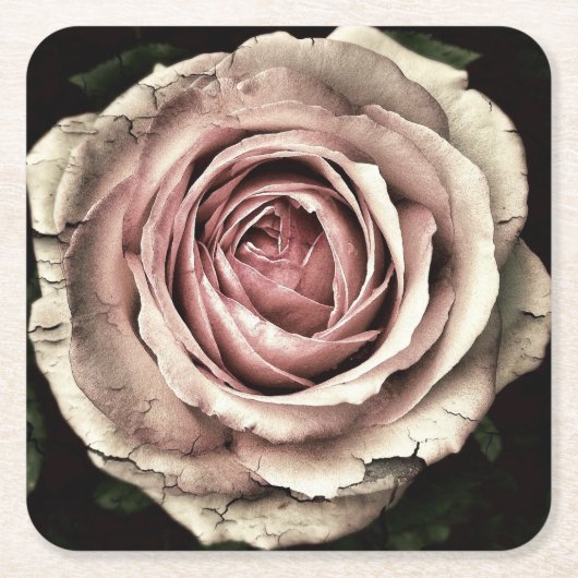 Rosa Rose gestört - Papier Untersetzer (Vorderseite)