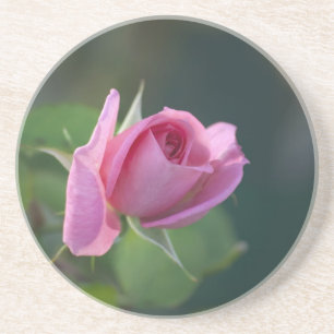 Rosa Rose Getränkeuntersetzer