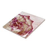 Rosa Rose getrocknet Fliese (Seite)
