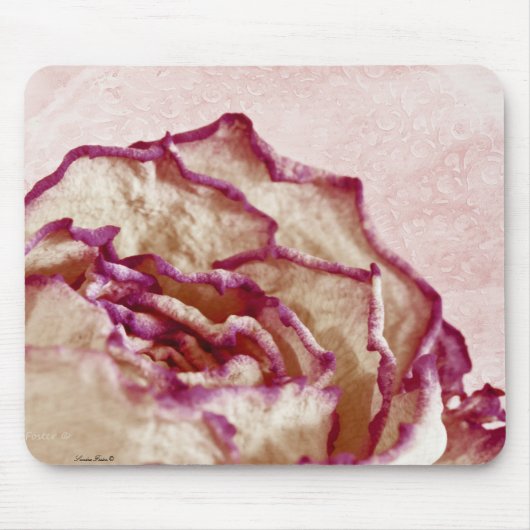 Rosa Rose getrocknet Mousepad (Vorne)