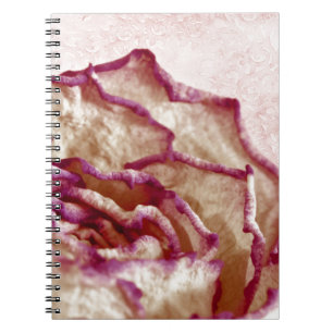 Rosa Rose getrocknet Notizblock