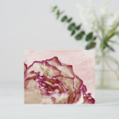 Rosa Rose getrocknet Postkarte (Stehend Vorderseite)
