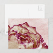 Rosa Rose getrocknet Postkarte (Vorne/Hinten)
