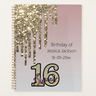 Rosa Rose Gold 16 . Geburtstag Planer