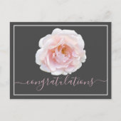 Rosa Rose Grau Hintergrund Gratulation Postkarte (Vorderseite)