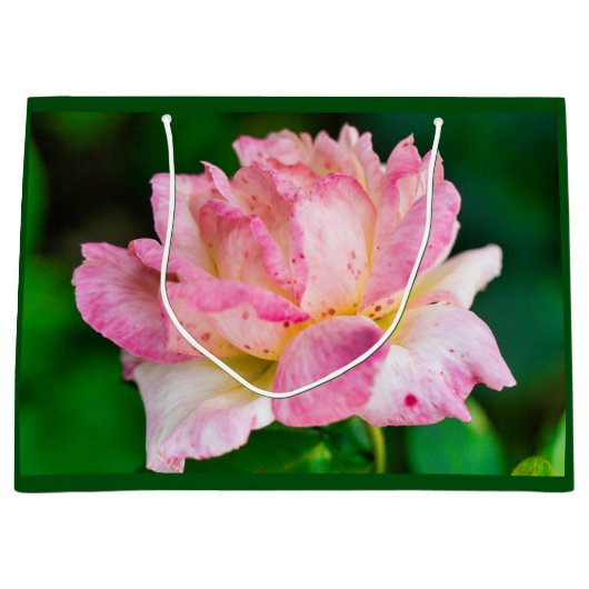 Rosa Rose Große Geschenktüte (Vorderseite)