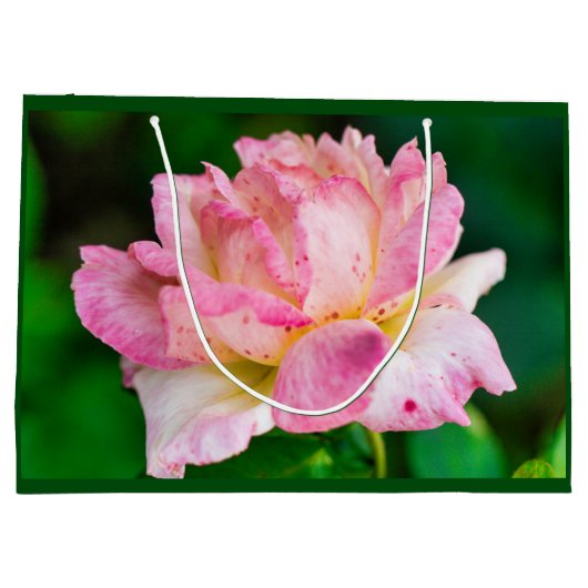 Rosa Rose Große Geschenktüte (Rückseite)