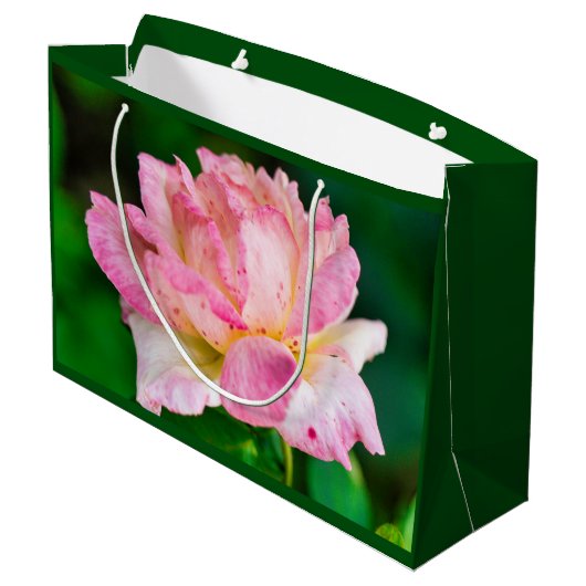 Rosa Rose Große Geschenktüte (Rückseite Schrägansicht)