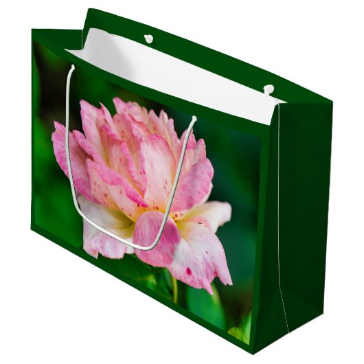 Rosa Rose Große Geschenktüte (Vorderseite Schrägansicht)